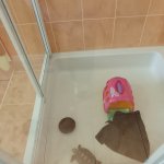 phoca_thumb_m_elva 38 Fotogalerie